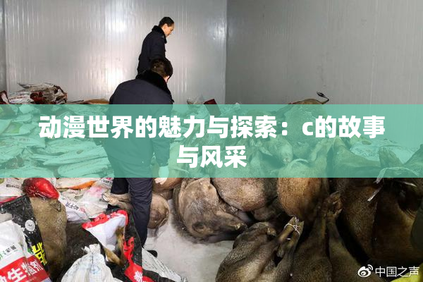 动漫世界的魅力与探索：c的故事与风采
