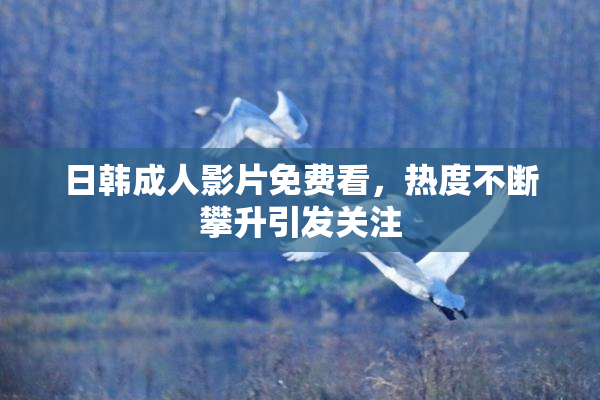 日韩成人影片免费看，热度不断攀升引发关注