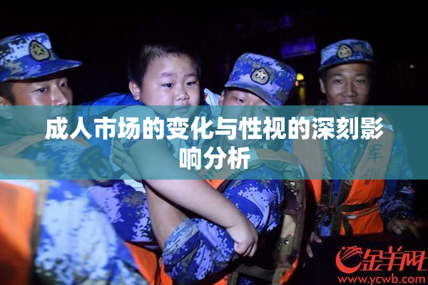成人市场的变化与性视的深刻影响分析