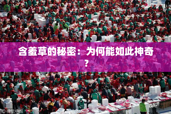 含羞草的秘密：为何能如此神奇？