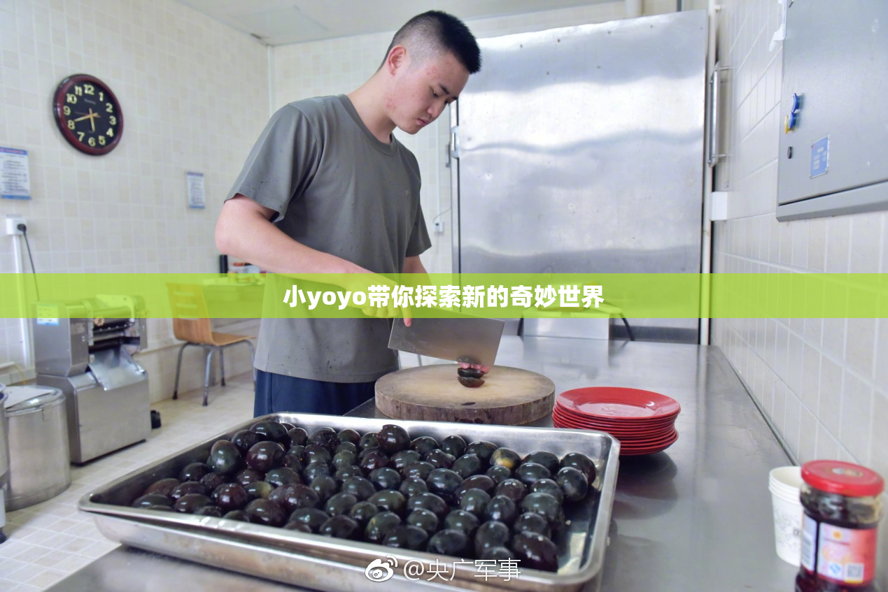 小yoyo带你探索新的奇妙世界