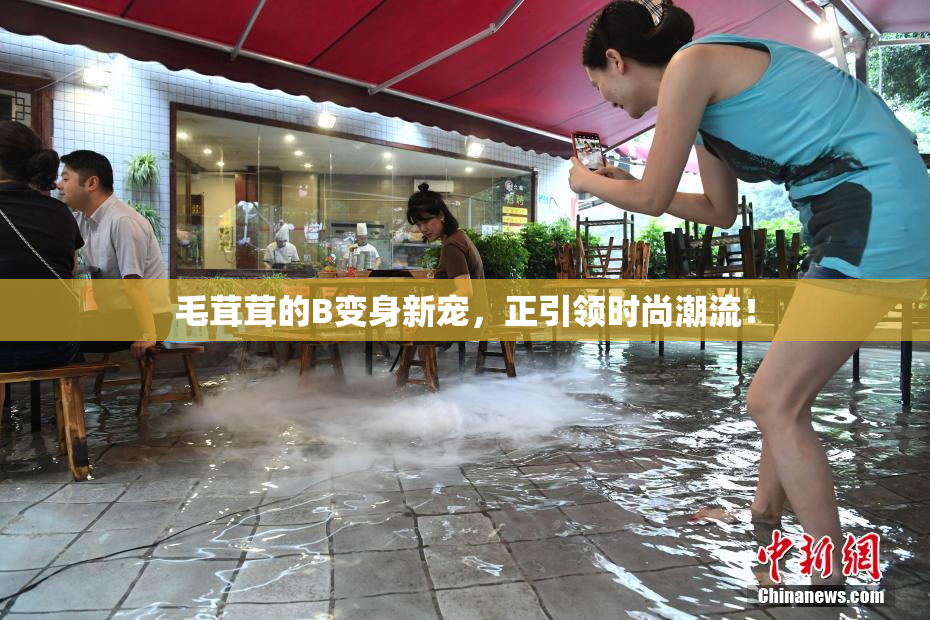 毛茸茸的B变身新宠，正引领时尚潮流！