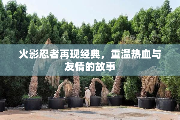 火影忍者再现经典，重温热血与友情的故事