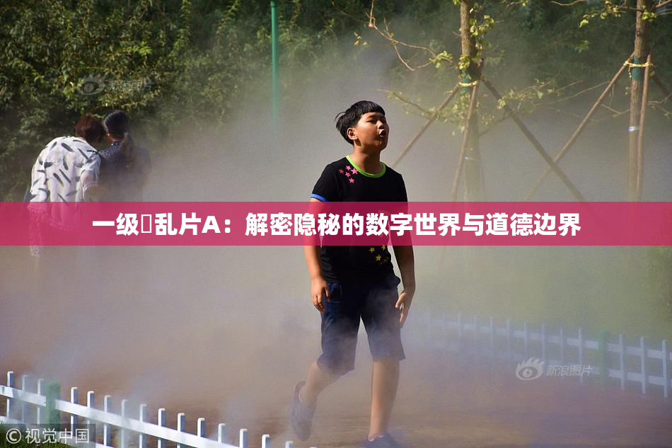一级婬乱片A：解密隐秘的数字世界与道德边界