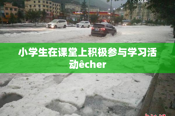 小学生在课堂上积极参与学习活动êcher