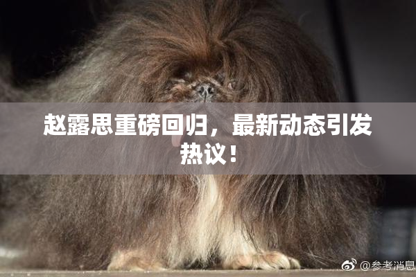 赵露思重磅回归，最新动态引发热议！