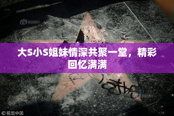 大S小S姐妹情深共聚一堂，精彩回忆满满