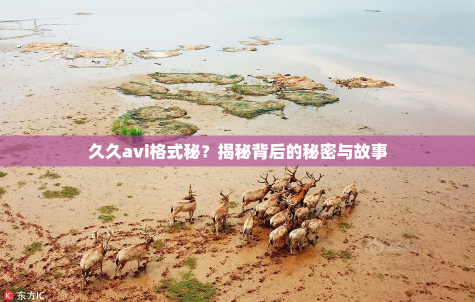 久久avi格式秘？揭秘背后的秘密与故事