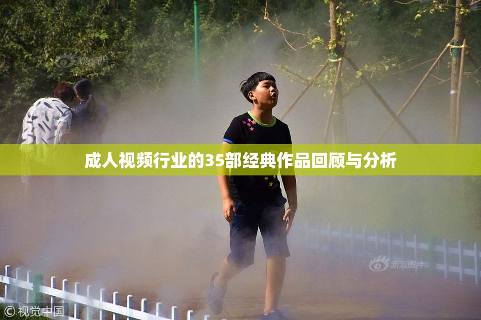 成人视频行业的35部经典作品回顾与分析