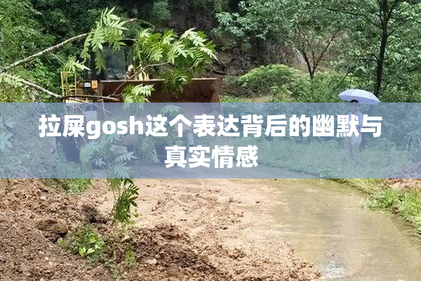 拉屎gosh这个表达背后的幽默与真实情感
