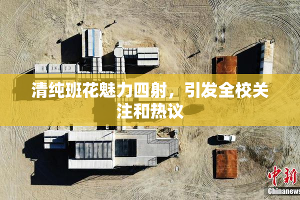 清纯班花魅力四射，引发全校关注和热议