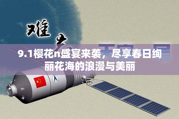 9.1樱花n盛宴来袭，尽享春日绚丽花海的浪漫与美丽