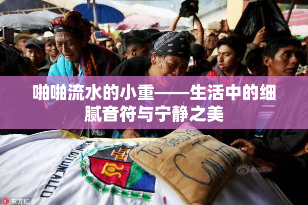 啪啪流水的小重——生活中的细腻音符与宁静之美