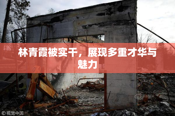 林青霞被实干，展现多重才华与魅力