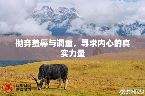 抛弃羞辱与调重，寻求内心的真实力量