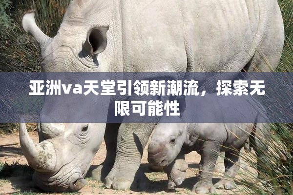 亚洲va天堂引领新潮流，探索无限可能性