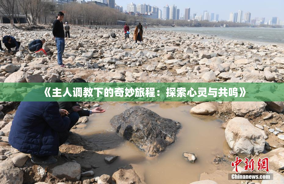 《主人调教下的奇妙旅程：探索心灵与共鸣》