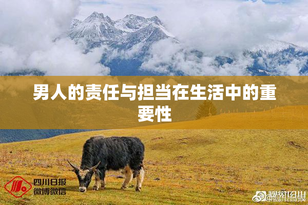 男人的责任与担当在生活中的重要性
