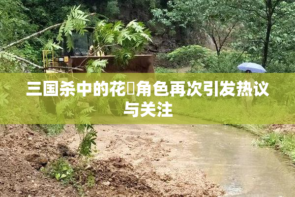 三国杀中的花鬘角色再次引发热议与关注