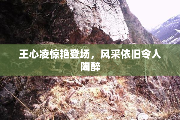 王心凌惊艳登场，风采依旧令人陶醉
