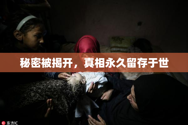 秘密被揭开，真相永久留存于世