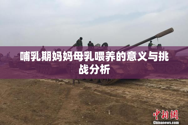 哺乳期妈妈母乳喂养的意义与挑战分析