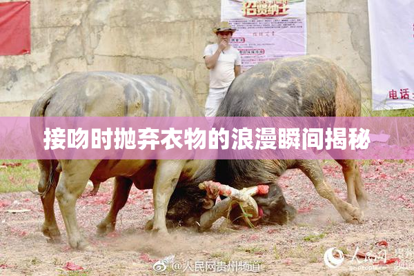 接吻时抛弃衣物的浪漫瞬间揭秘