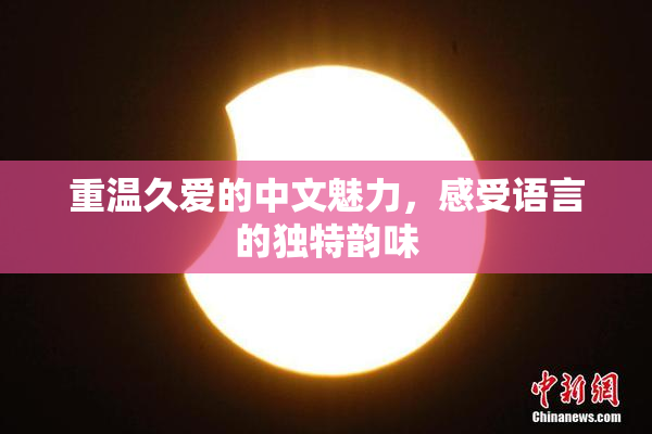 重温久爱的中文魅力，感受语言的独特韵味