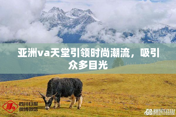 亚洲va天堂引领时尚潮流，吸引众多目光
