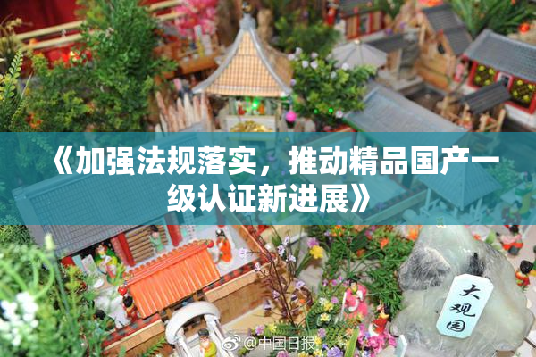 《加强法规落实，推动精品国产一级认证新进展》