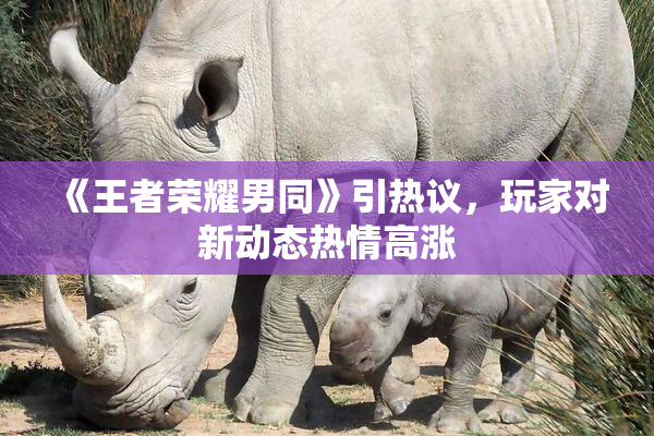 《王者荣耀男同》引热议，玩家对新动态热情高涨