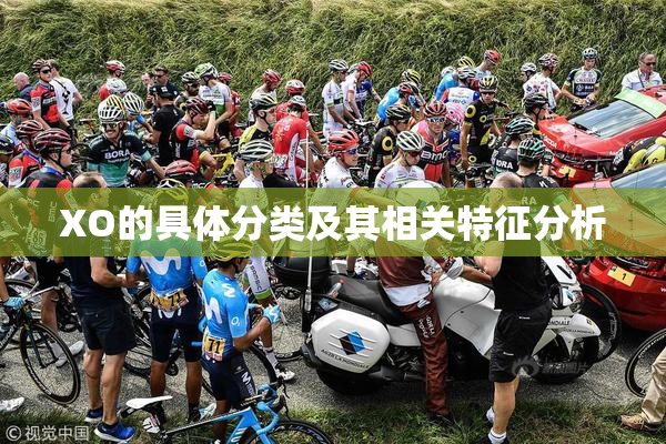 XO的具体分类及其相关特征分析
