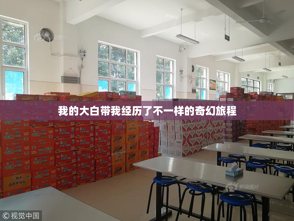 我的大白带我经历了不一样的奇幻旅程