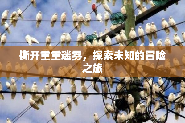 撕开重重迷雾，探索未知的冒险之旅
