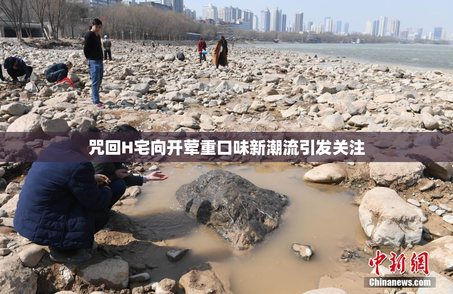 咒回H宅向开荤重口味新潮流引发关注