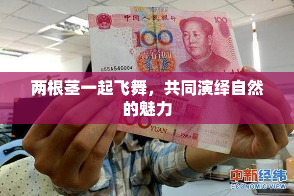 两根茎一起飞舞，共同演绎自然的魅力