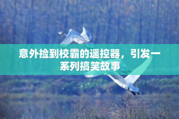 意外捡到校霸的遥控器，引发一系列搞笑故事