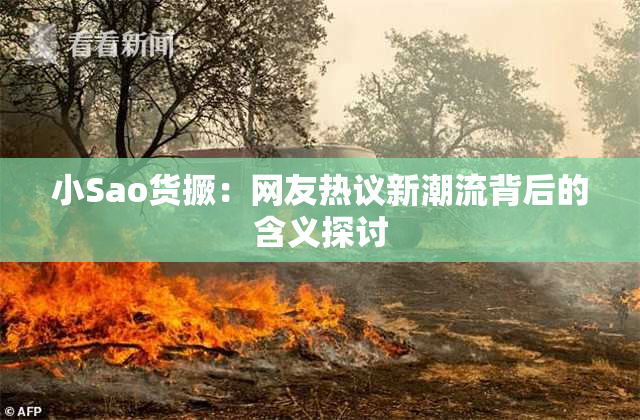 小Sao货撅：网友热议新潮流背后的含义探讨