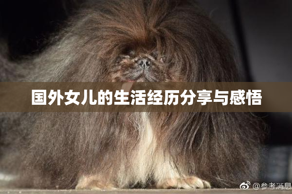 国外女儿的生活经历分享与感悟