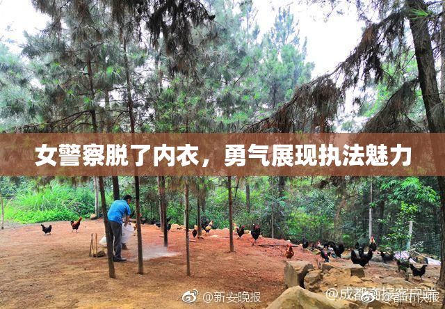 女警察脱了内衣，勇气展现执法魅力
