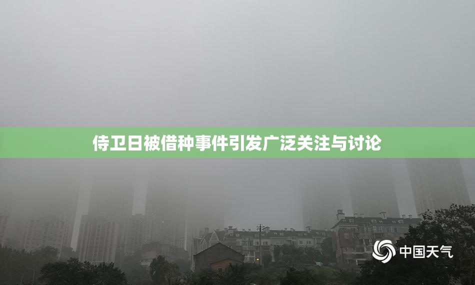 侍卫日被借种事件引发广泛关注与讨论