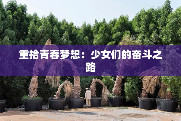 重拾青春梦想：少女们的奋斗之路