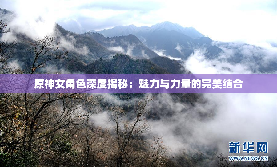 原神女角色深度揭秘：魅力与力量的完美结合