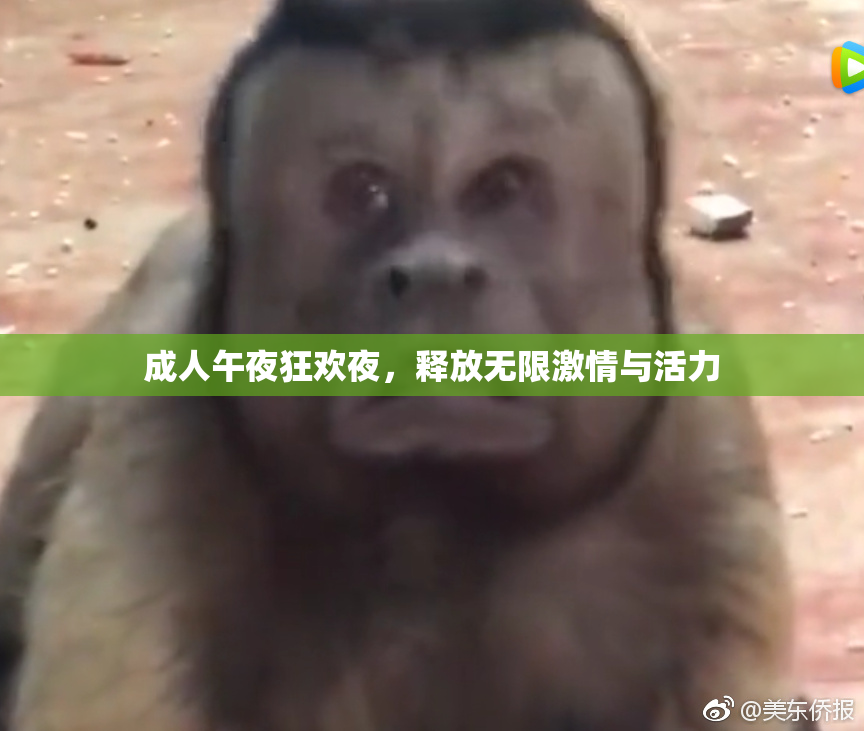 成人午夜狂欢夜，释放无限激情与活力