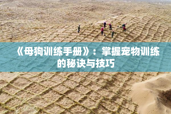 《母狗训练手册》：掌握宠物训练的秘诀与技巧
