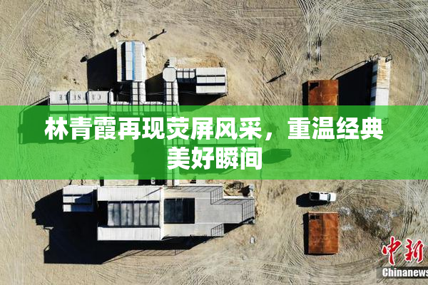 林青霞再现荧屏风采，重温经典美好瞬间