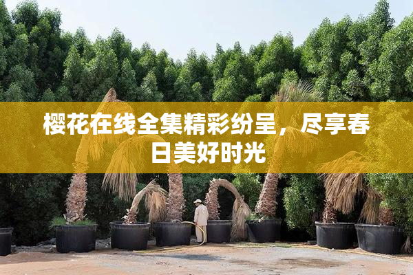 樱花在线全集精彩纷呈，尽享春日美好时光