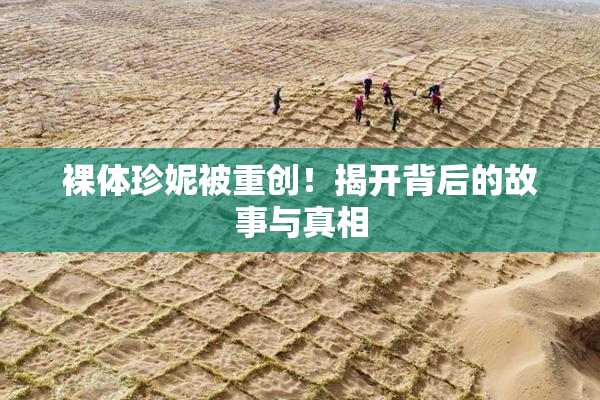 裸体珍妮被重创！揭开背后的故事与真相