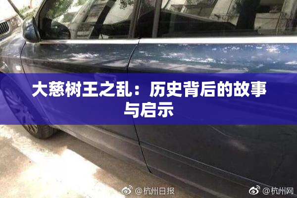 大慈树王之乱：历史背后的故事与启示
