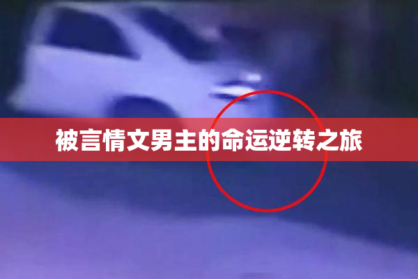 被言情文男主的命运逆转之旅
